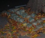 even the sculpted heads were now buried - under autumn leaves