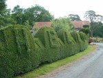 cycling on holiday in Scotland, not so far from Loch Lomond heading on country lanes towards Stirling, I came across this wonderful welcoming ...folly hedge!
it's at Mavie Mill to the west of Croftamie
Grid ref: NS 453848