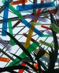 a plant mixed up with tubes & lines - i liked this colourful exhibit in the museum of natural history in Scarborough
