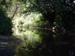 we were struck by the quality of the light at this ford during a holiday jos & I had in Suffolk