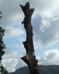 and a closer view which proves there were the odd patches of blue sky but generally over somewhere else!