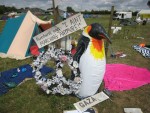 dan's photo of the penguin