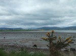 I cycled along the Cromarty Firth to Cromarty only to find the ferry wasn't running, so back I had to go, the long way round and what was worse, into the wind.