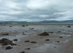I think these were just rocks covered in seaweed but they seemed a bit incongruous in the mud flats