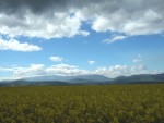 looking north towards the hills and the route over the tops. However, by the time I got around Cromarty Firth to Alness it was 5pm so I settled for a bag of chips and a drink sat at the train station to get the train to my stop for the night...