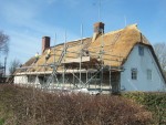 Rather than a long day trip to London for the Mothers March and then another for the TUC cuts demonstration a fortnight later, I decided to stay down south and have a circular cycle tour (with some bits on trains) from London to London via Oxfordshire, South Wales, Bristol, Dorset, Hampshire and Sussex.
Here, thatching in progress near Maiden Newton