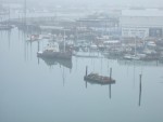 While at Southampton I also met up with my friend Sue from teenage years. She was a fellow member of Ilford YCND and lived in my parent's street. 
Then off again in the early morning mist, destination Hove.

Here boats on the mouth of the river Itchen