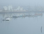 my plan was to cycle along the coast