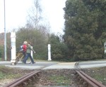 as can be seen in this photo the rails cross the road and then disappear into a hedge!