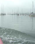 and despite having a personal waterbourne taxi service it cost just �1.75 for me and the bike - great value