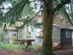 this woodland hall both of which seemed evocative to me of the peace that we are all striving for