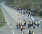 road crossing 3