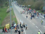 road crossing 4