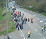 road crossing 6