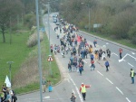 road crossing 5