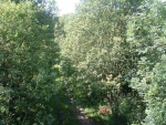 10. View north from Barrowford Road bridge