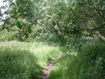 35. north into woods on section leading to Foulridge