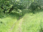 42. looking south to better path