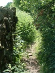 44. looking south at footpath through right at the eastern edge of the railway land
