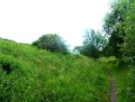 100. the west side of the cutting south of Kelbrook Road bridge