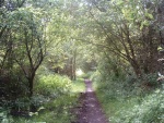 101. the trackbed leading south from Kelbrook Road bridge