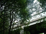 102. the south side of Kelbrook Road bridge seen from the trackbed