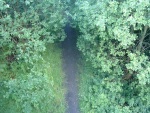103. the trackbed seen from the south side of Kelbrook Road bridge
For more about SELRAP and our campaign to reopen the Colne to Skipton railway as part of the National Railway Network click here
