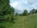 17. looking north on trackbed