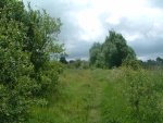 18. looking north on trackbed again