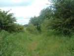 10. looking north from the barrier