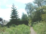 55. looking south on the trackbed