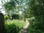 57. again looking south on the trackbed as the path winds its way past the gardens of houses in Sough