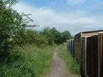 60. looking north at gardens on the edge of the trackbed at Sough