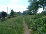 23. looking south alongside the A56 (Skipton Road)