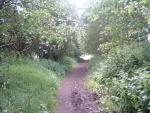 4. also near the site of the Earby Station platforms - for photos of Earby Station as it used to be click here, then click on Image Gallery & enter 'Railway' in the search facility