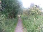 57. looking south towards the road to Earby industrial estate
