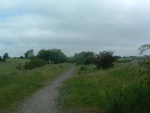 60. looking north from the trackbed by Earby industrial estate