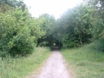 62. looking north at the cutting between Earby & Thornton