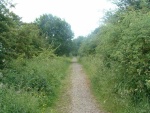 67. looking north from the cutting between Earby & Thornton