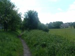 6. looking south by Earby Station site