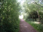 70. looking north on the trackbed