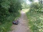 71. looking south on the trackbed again