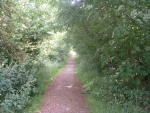 72. another view of the trackbed