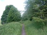 7. looking north near Earby Station site
