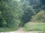 84. the trackbed leading south from the former level crossing on Booth Bridge lane