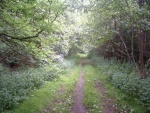 38. looking west in the deep cutting