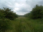 47. the trackbed on the embankment