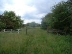 49. looking west on the trackbed