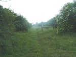 50. looking east on the trackbed