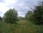 51. the trackbed on the embankment